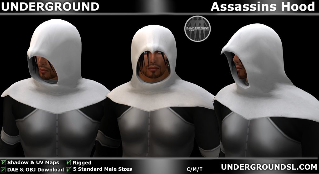 Assassins Hood Pic