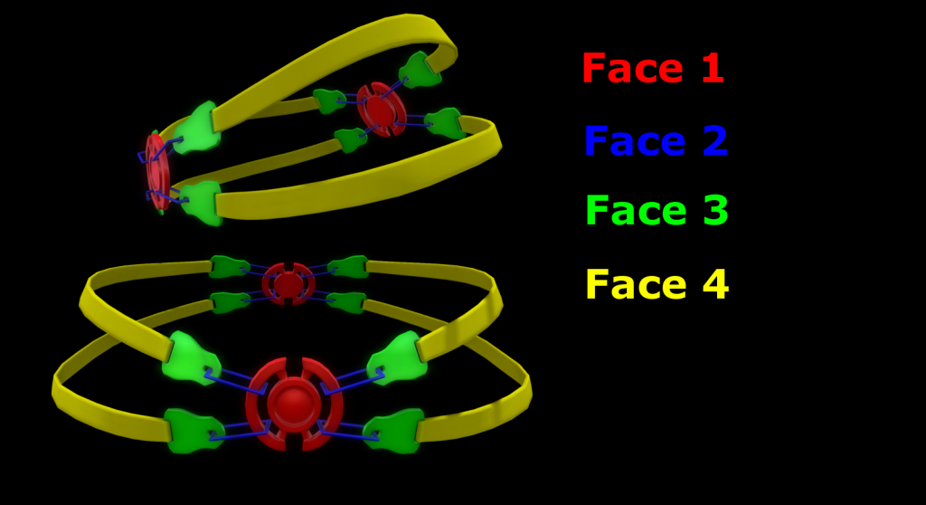 Harper Belt Faces Pic