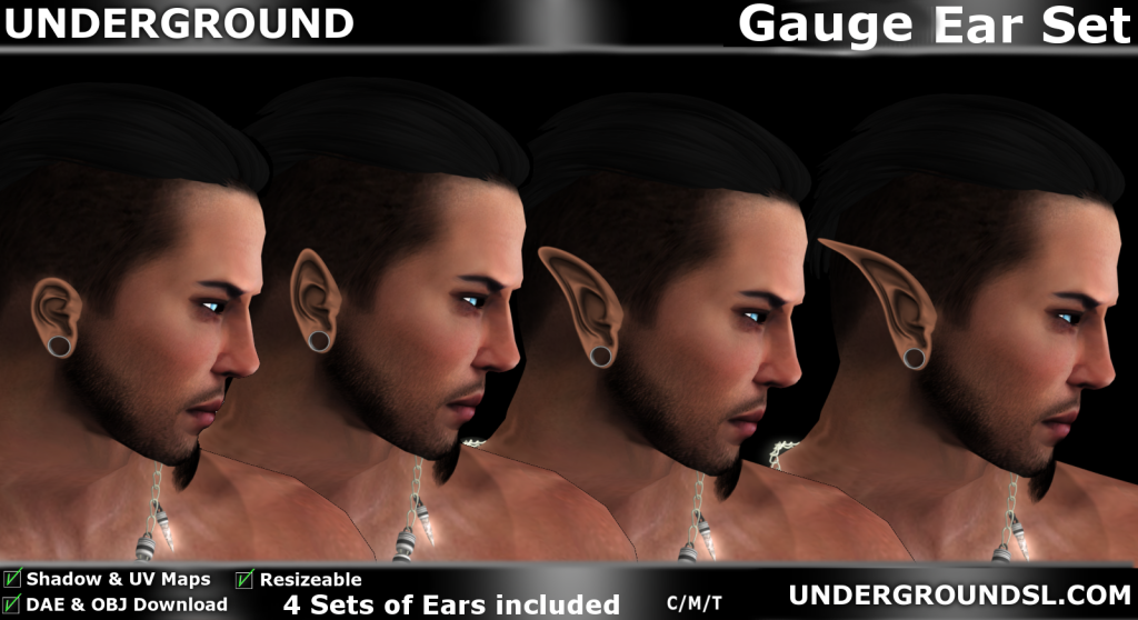 Gauge Ear Set Pic