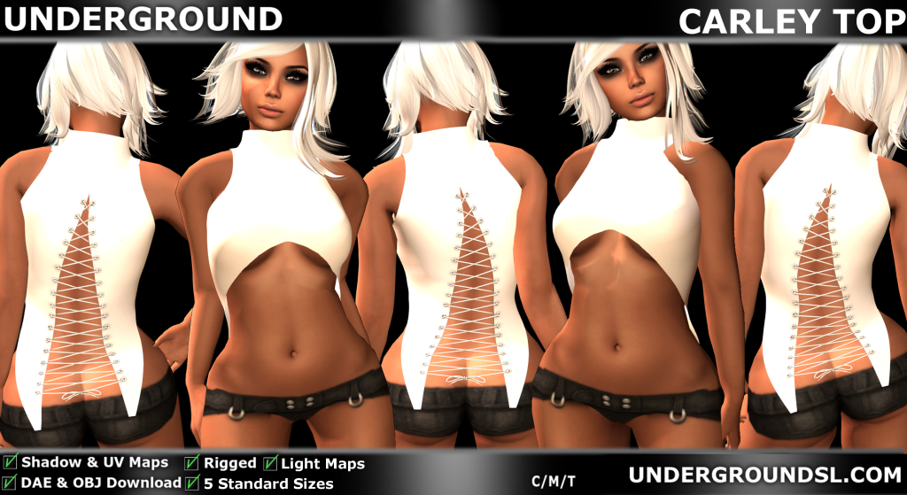 UG MESH CARLEY TOP PIC