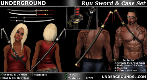 Ryu Sword & Case Set Pic
