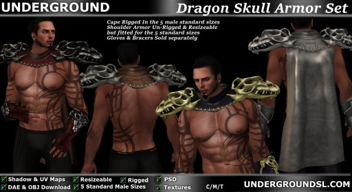 Dragon Skull Armor Set Pic