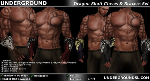 Dragon Skull Bracers & Gloves Pic