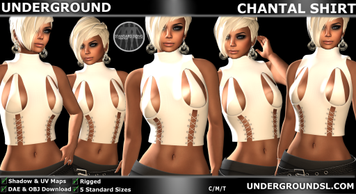 UG MESH CHANTAL SHIRT PIC