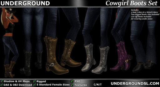 Cowgirl_Boots_Set_Pic